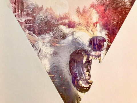 Robert Farkas: Peel-able Wall Decoration: Daylight Moon