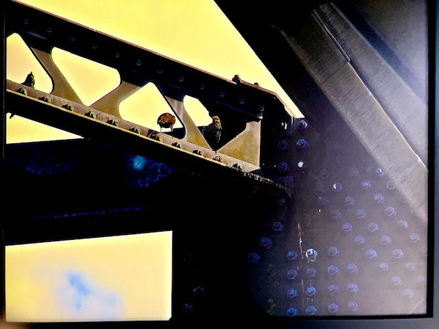 James Pilbeam: "Birds of a Feather" Photograph