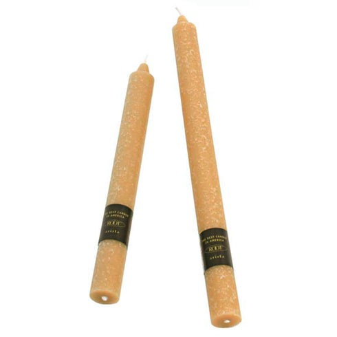 Root 9" Arista Unscented Beeswax Blend Dinner Candles (Box of 12)