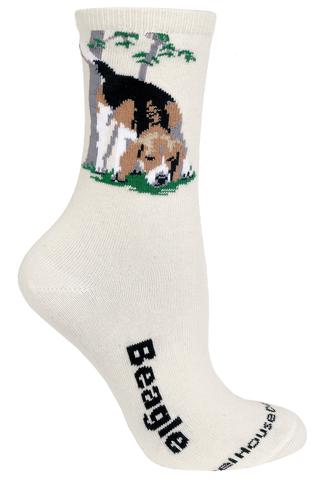 Wheelhouse Beagle Socks