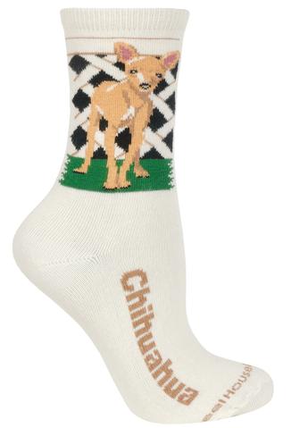 Wheelhouse Chihuahua Socks