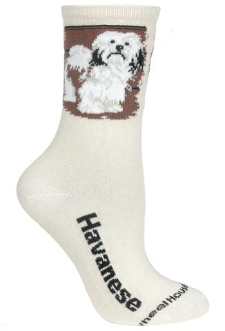 Wheelhouse Havanese Socks