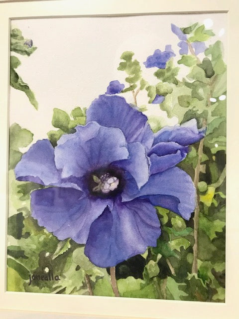 Janealla Killebrew: "Blue Flower" Watercolor Painting