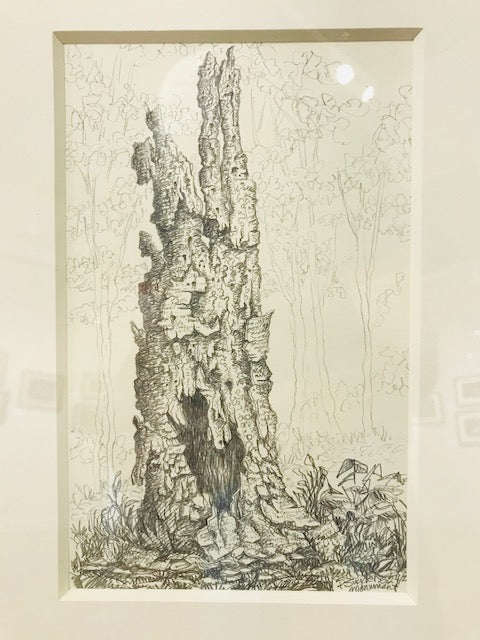 Phil Sugden: Tree Trunk; Ink on Paper