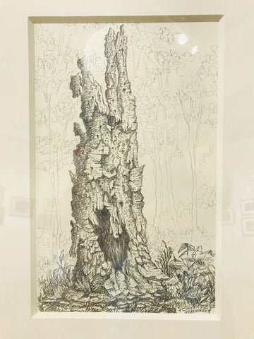 Phil Sugden: Tree Trunk; Ink on Paper
