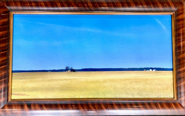 Local Artist: Jim Pilbeam "Flatlands" Digital Painting