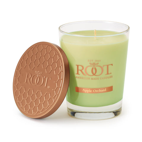 Root Apple Orchard Scented Large Candle